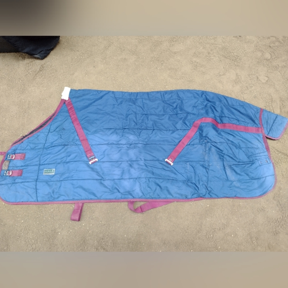 Dover's riders international med wt stable blanket size 81"